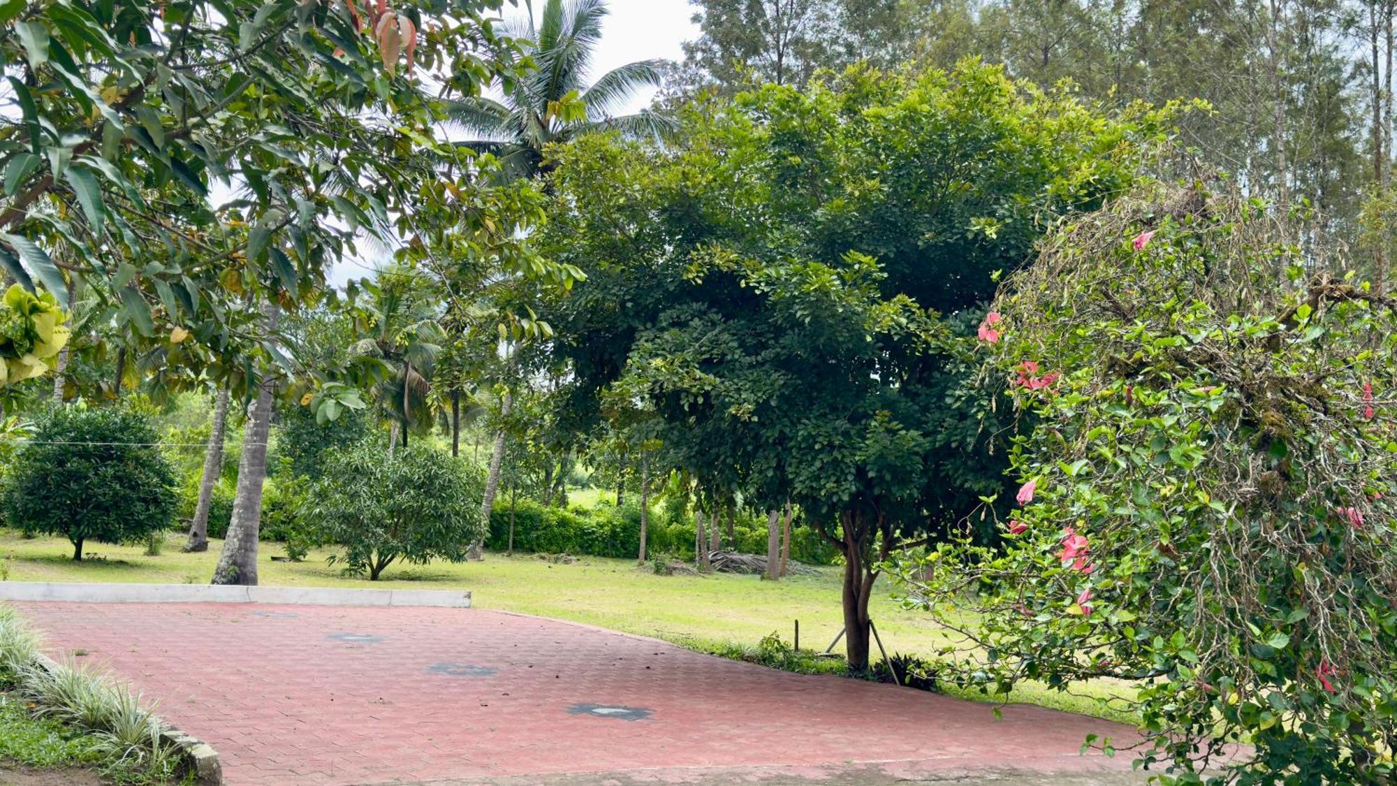 The Shades Holiday Homes Kushalanagar Bagian luar foto